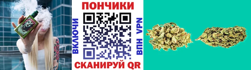 Шишки марихуана VHQ  Холм 